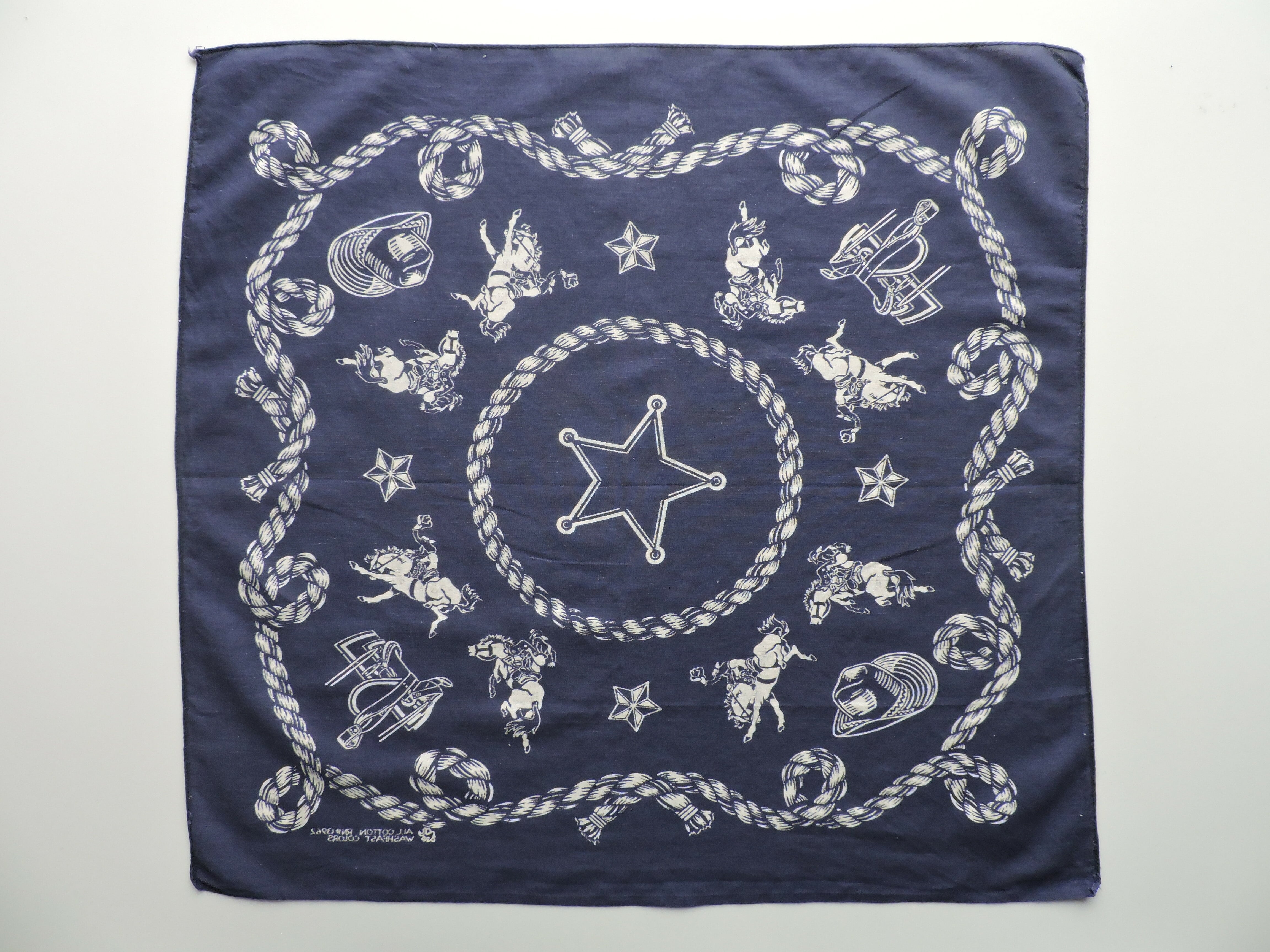 RN13962 Western Elephantbrand？ Vintagebandanna | swallows