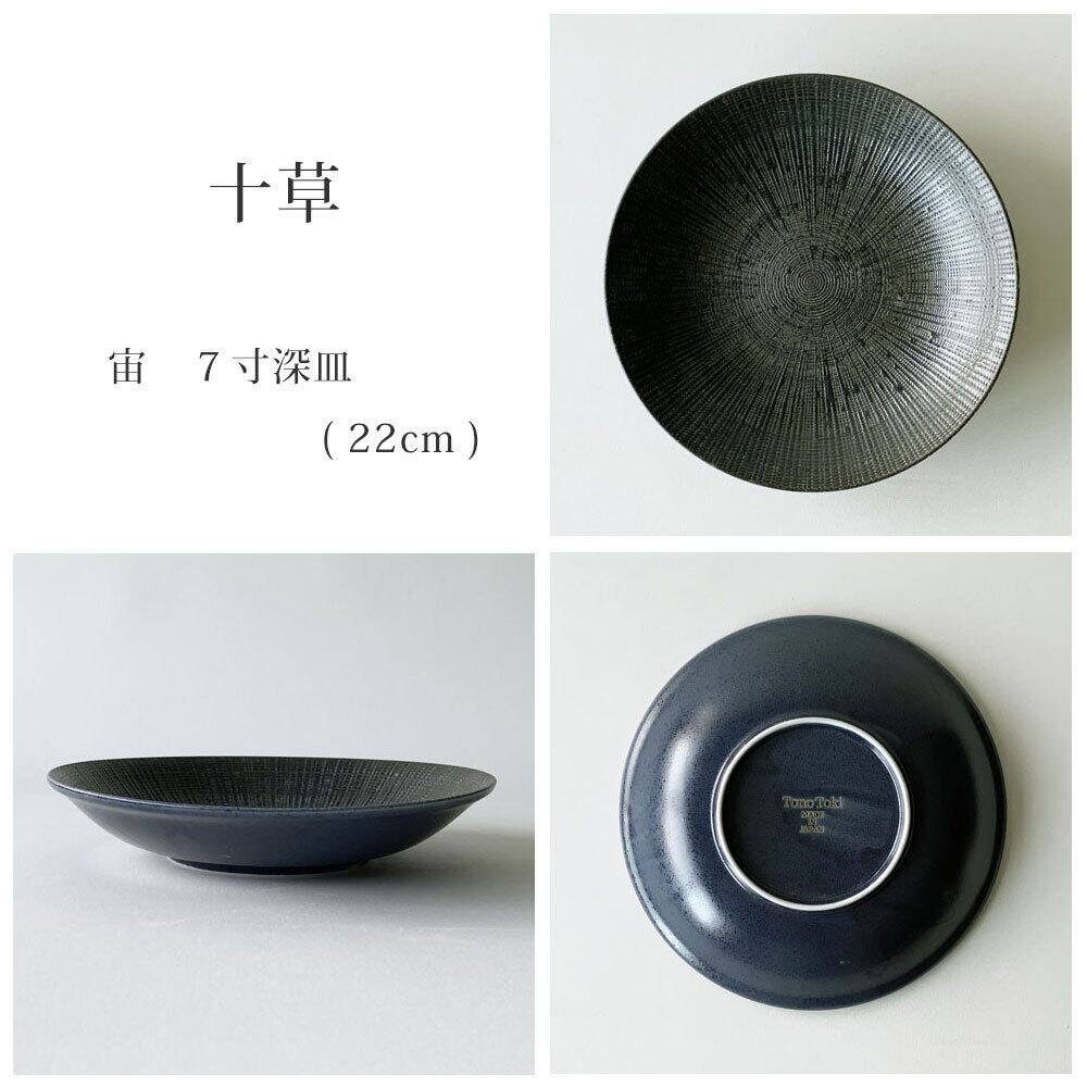 深皿 パスタ皿 おしゃれ 宙 22.0cm 7.0深皿 麺皿 カレー皿 和食器 美濃