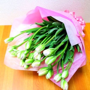 【チューリップの花束L】誕生日 記念日 お祝い 送別 愛妻の日 バレンタイン ホワイトデー