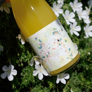 ハルシャル28号　2023