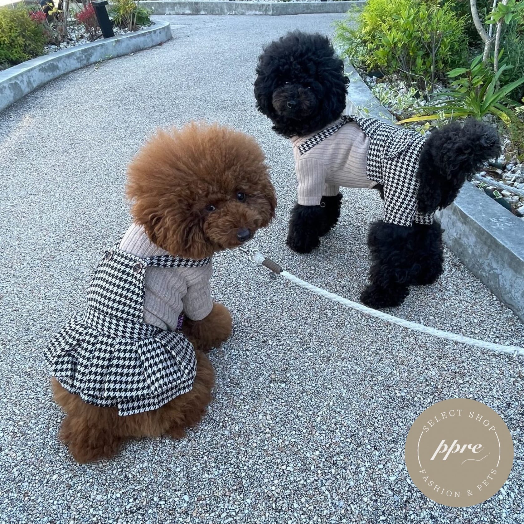 即納あり】千鳥柄 ドッキング ペアルック ドッグウェア 犬服 ...