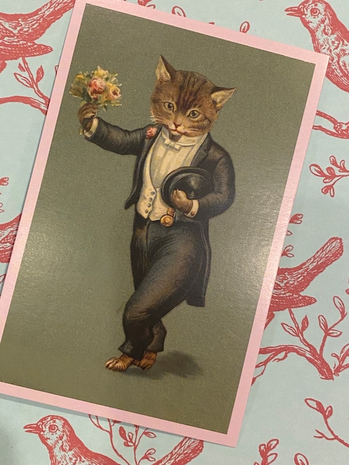 ドイツ製　ポストカード　猫　花束　祝福　ドイツ　タキシード