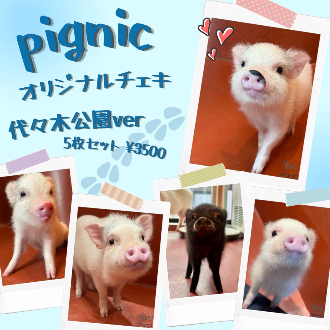 pignicオリジナルチェキ【代々木公園ver】 | pignic shop