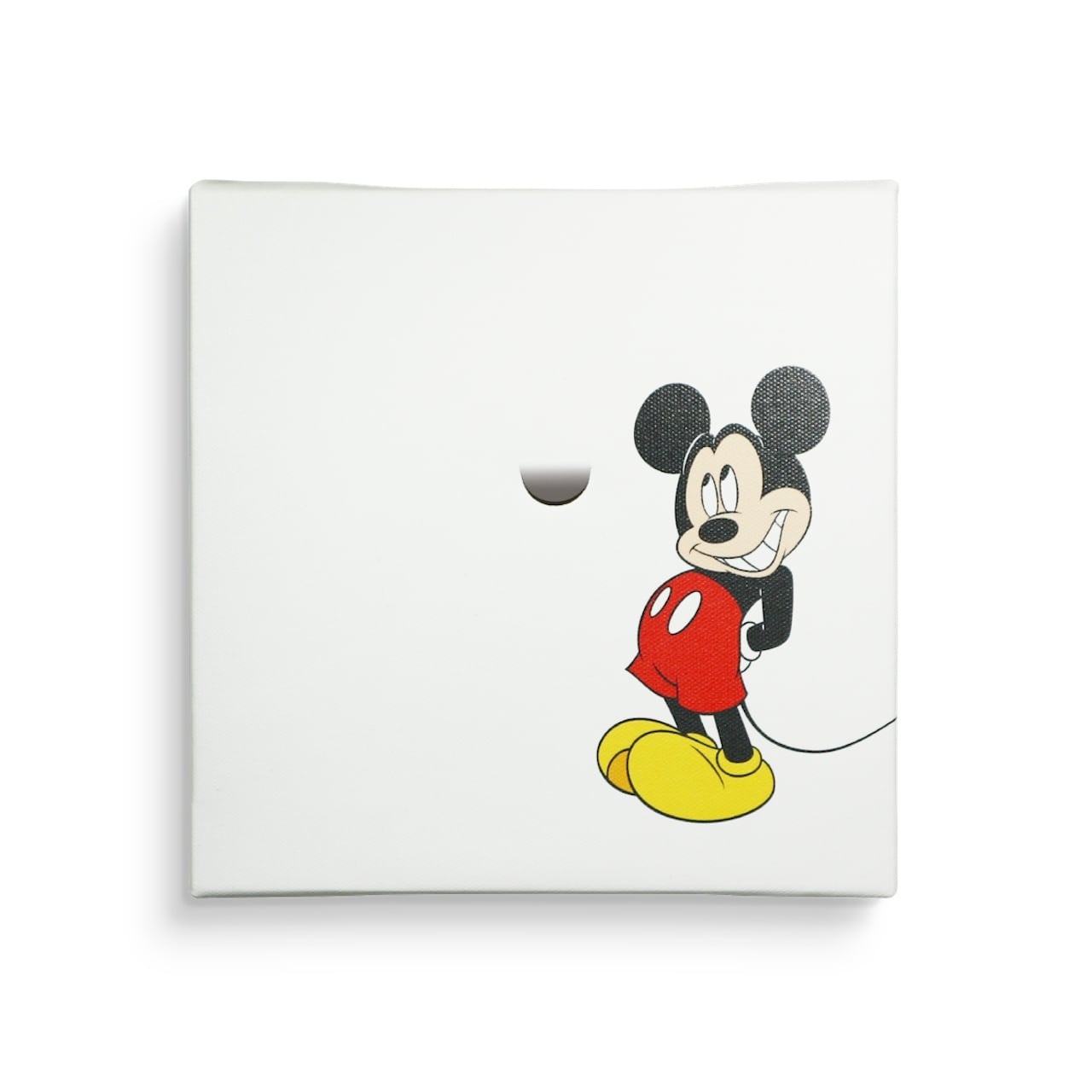 ディズニー アートパネル ミッキー ミッキーマウス 一輪挿し IKE-DSNY