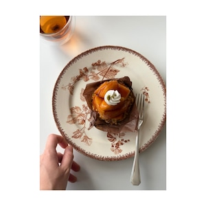 Sarreguemines サルグミンヌ / “GROSEILLES” brown スグリの平皿プレート b