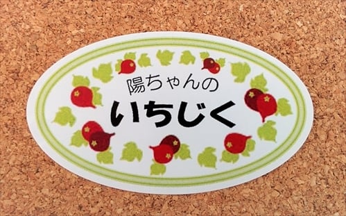 自家栽培・産地直送》甘酸っぱい美味しさ いちじく 蓬莱柿8個入り