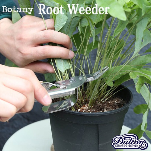 ROOT WEEDER ルート ウィーダー ガーデニング 園芸 草取り DULTON ダルトン