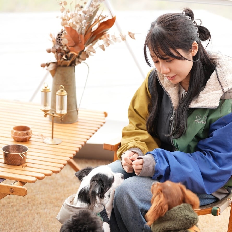 ひっくりジャケット（MULTI-COLOR） | 38explore