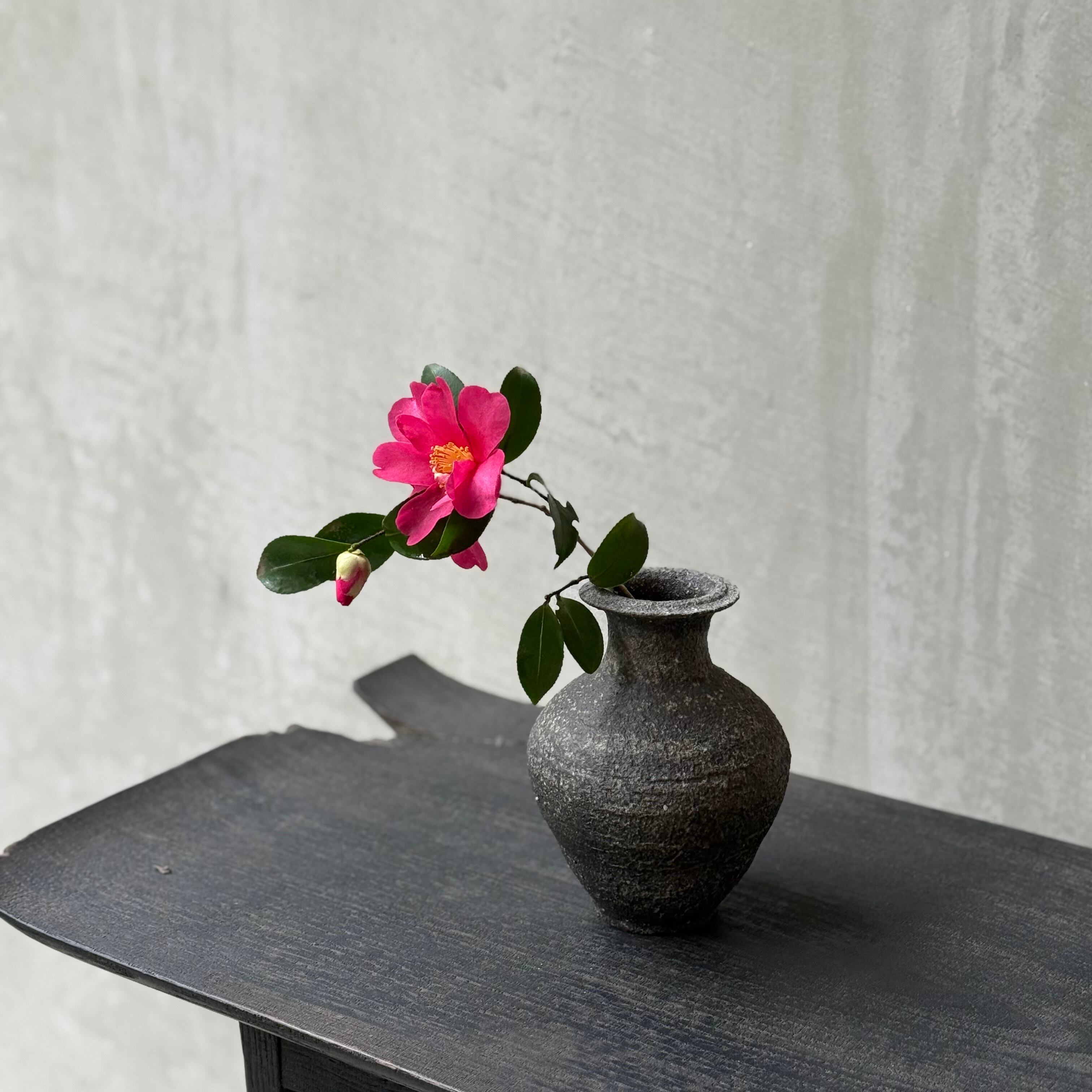 清水 善行 | gallery 一白