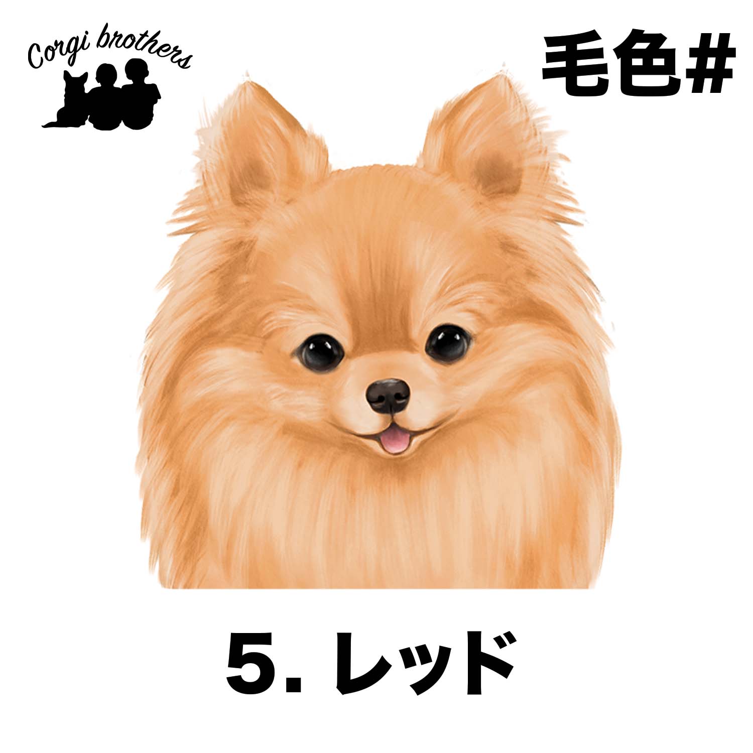 ポメラニアン 水彩画風 毛色6色 】 タオルハンカチ ピンク＆ブルー2枚