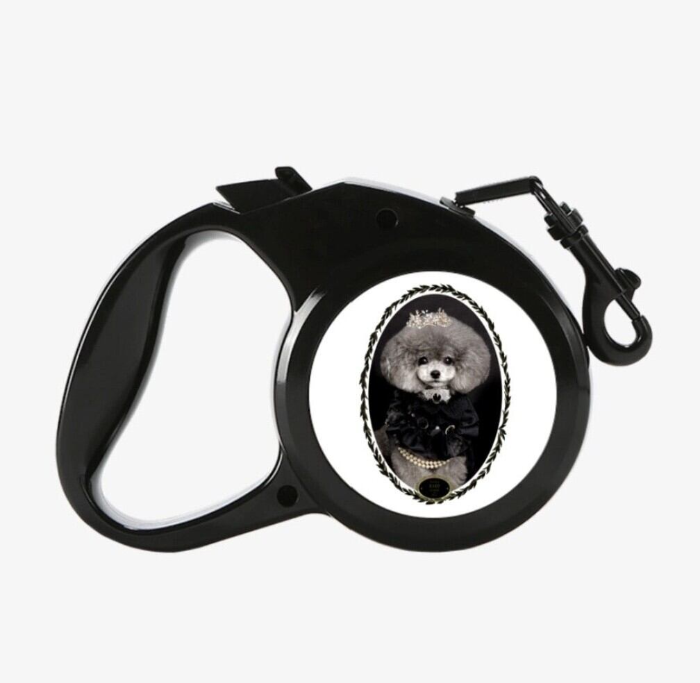 予約【Seiji】Pet 伸縮Leash