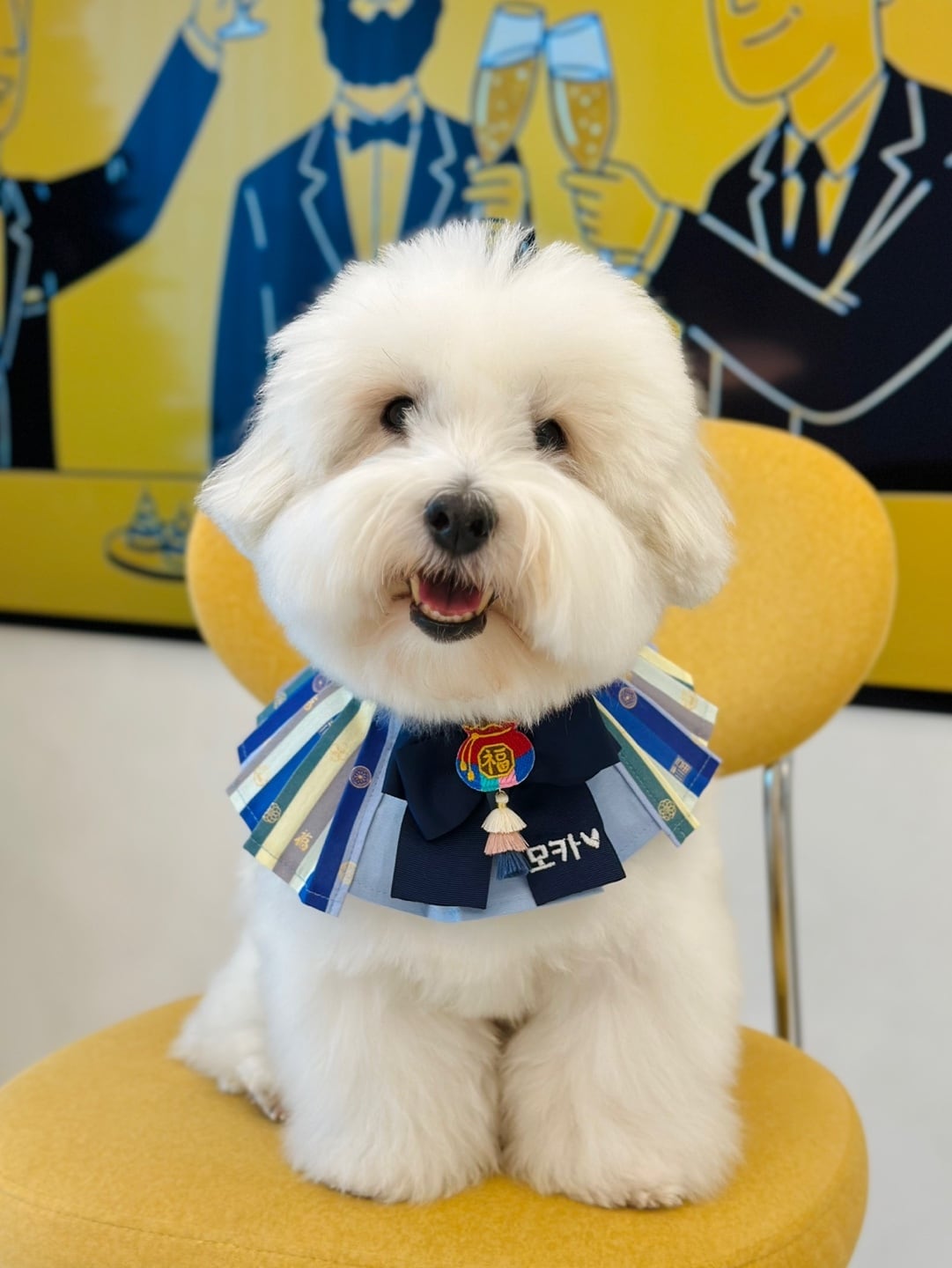 数量限定【MR.MOKA】2026 New Year Cape