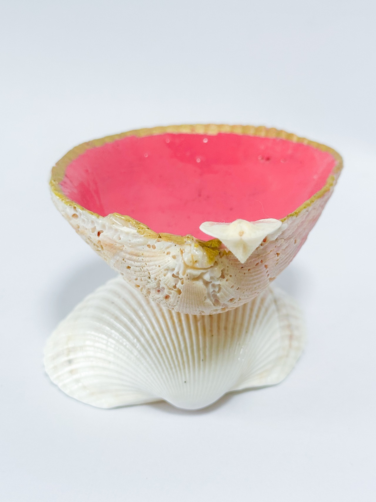 (販売前)ハート貝小物入れ・ピンク