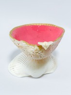 (販売前)ハート貝小物入れ・ピンク