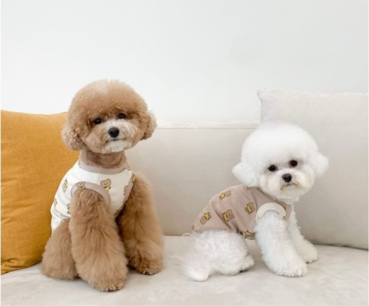 予約  【pecoramou select】Plump Bear T-Shirt Sleeveless（Beige）