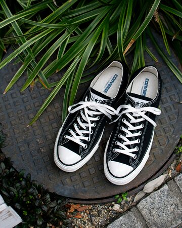 ConverseコンバースCT70レオパードハラコチャックテイラー豹柄28cm 