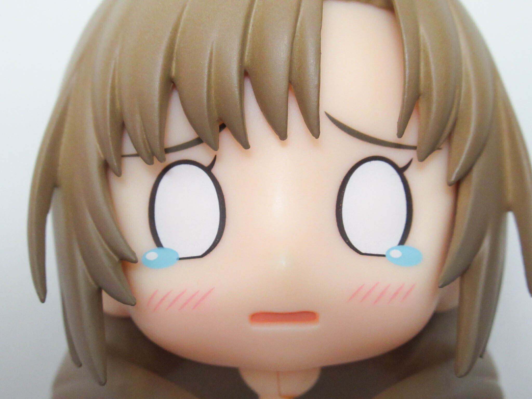 再入荷【1263】 大好真々子 顔パーツ 泣き顔 ねんどろいど | ホビー