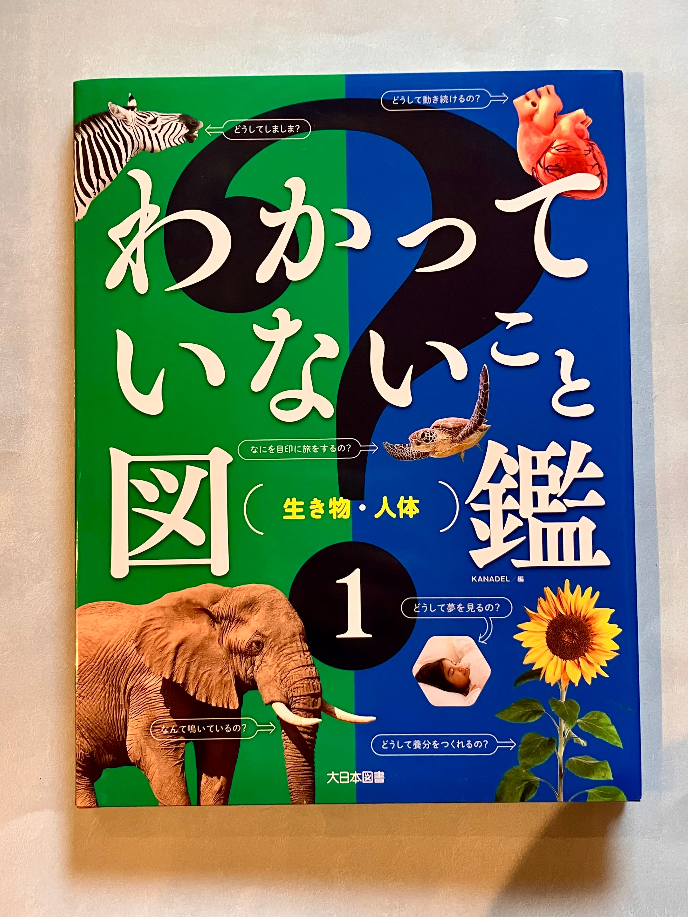古本】はさみむし（かがくのとも 2019年11月号） | ホホホ座 西田辺