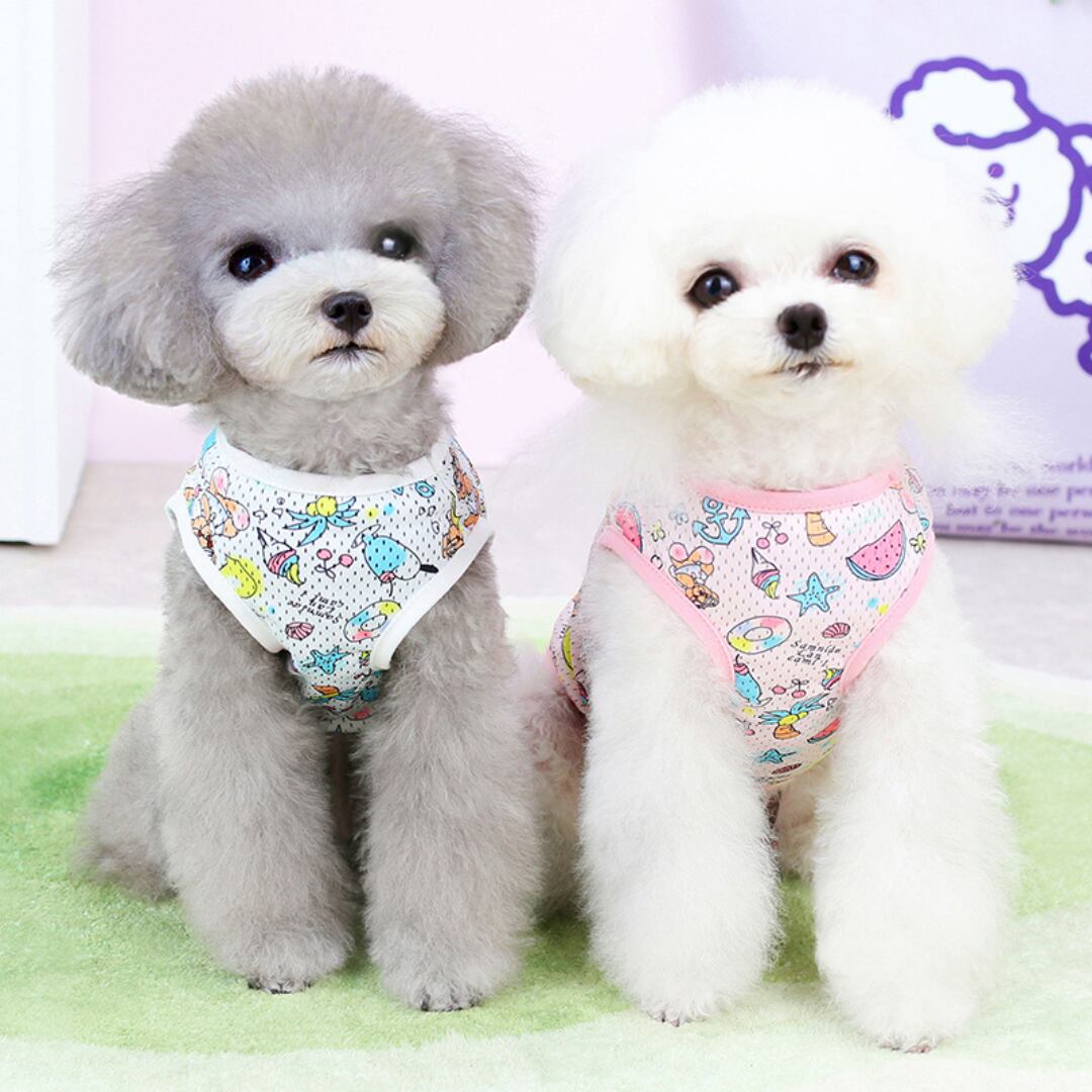 【全2色】パステルカラーのメッシュ素材サマープリントカットソー d1357