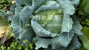 今月の風景 imagined scenery vol.8 おまかせセット