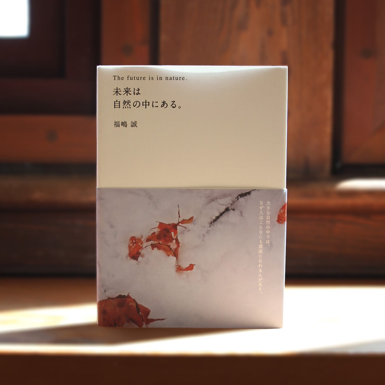 ad50e53c11f3e57c1389def28670e7