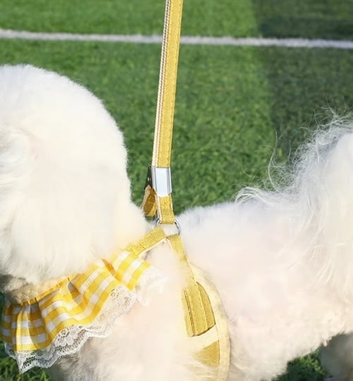 ドッグ 犬 小型犬 エクササイズ チョーカー リード リードセット