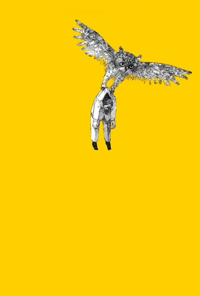 ポストカード『鳥に注意』 | 十堂 -tsunashido-