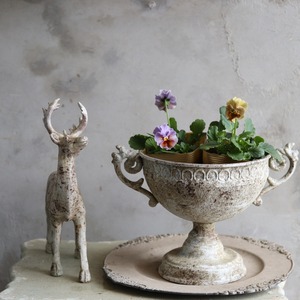 ビオラ　和モダンクラシック　ウコン　冬から春にオススメのお花　よく咲く　シャビーシックにおすすめ