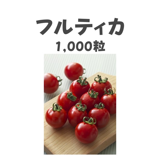 フルティカ　中玉トマト種子・1,000粒