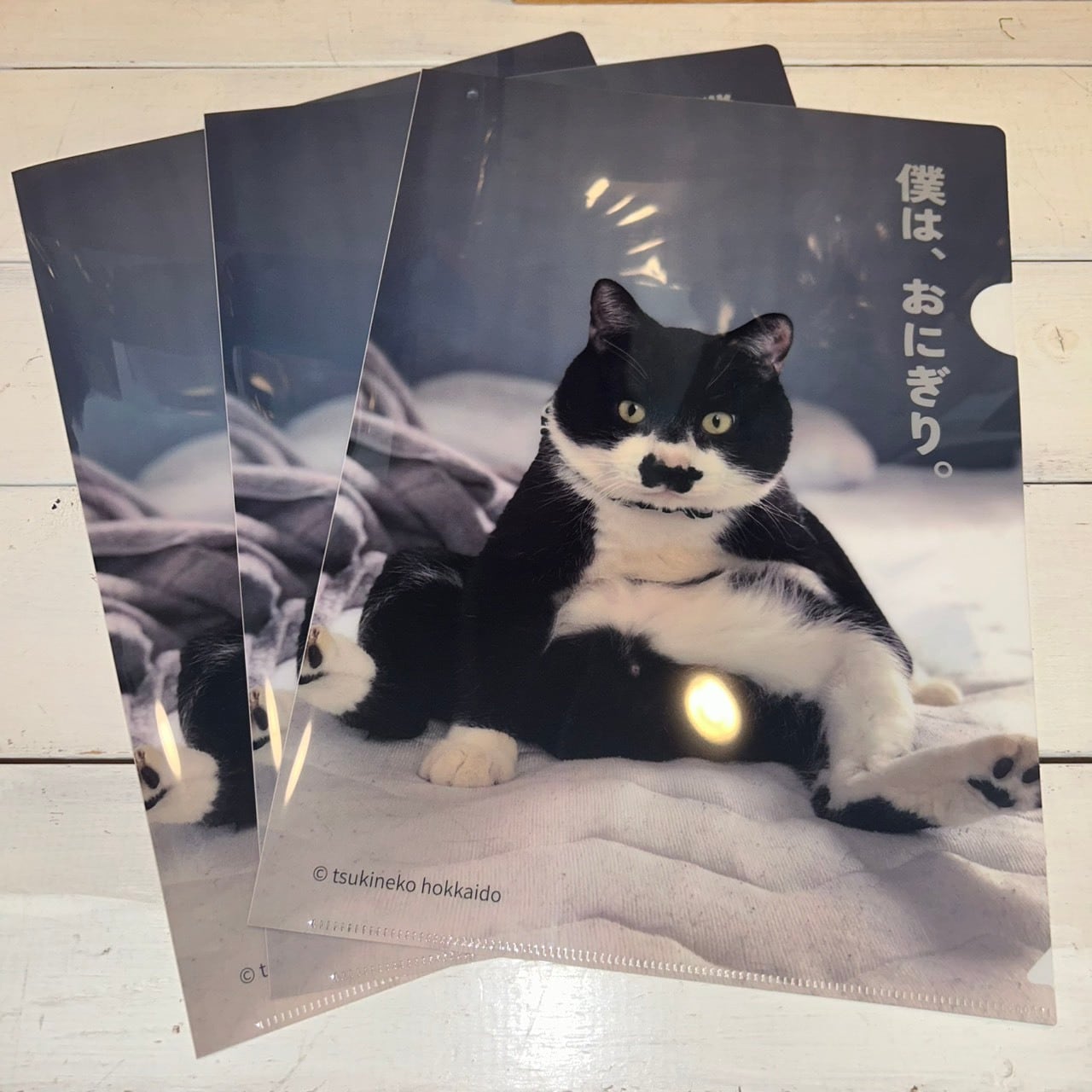 anan 猫さま大賞2026 グランプリ受賞】おにぎりくんクリアファイル【A4