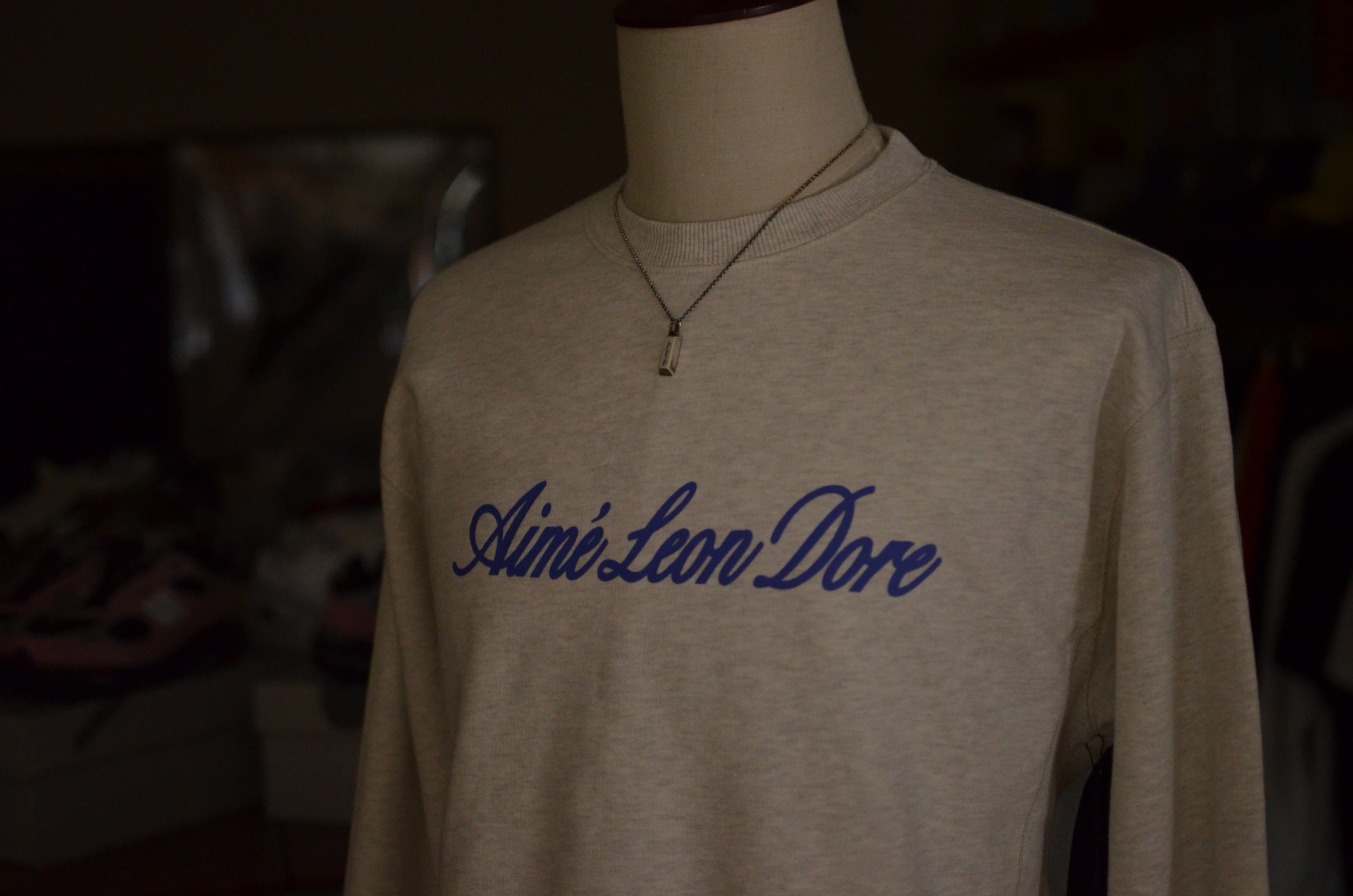 AIMELEONDORE crew neck プレゼント付き