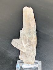 希少色エッチドフローライト/クォーツ Erongo Moountains, Karibib District, Namibia SS18000930
