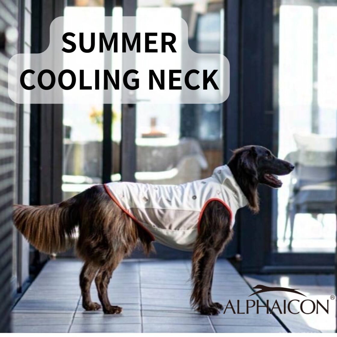 ALPHAICON アルファアイコン サマークーリングネック2XL