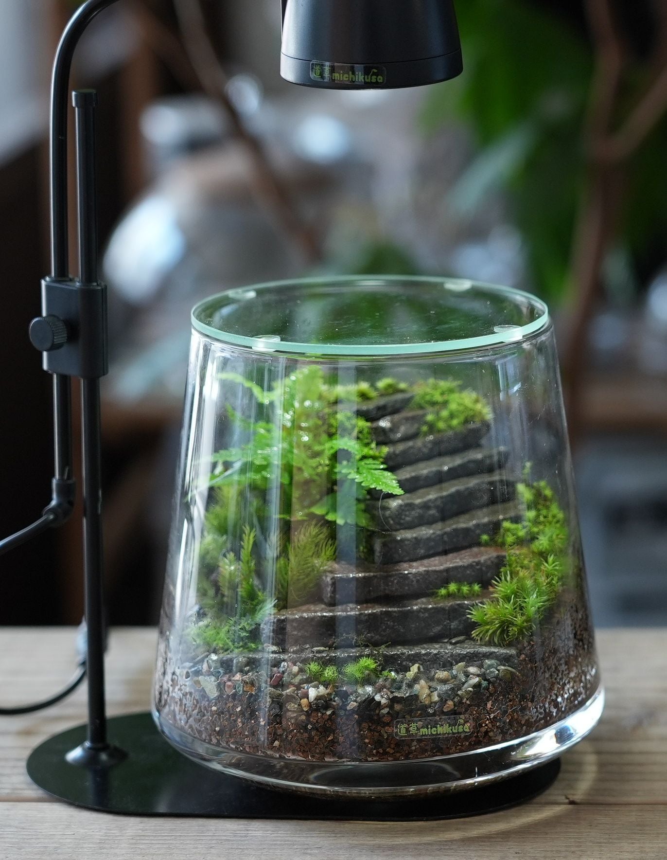 石段作りに使える板石 200g入り【レイアウト用】 | 苔テラリウム専門