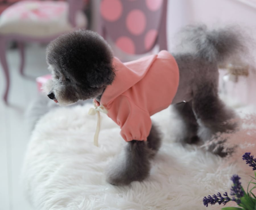 nagrang crop hood S ～ XL 4color / 犬服 秋冬 ショート丈 パーカー フード おパンツカット 無地 シンプル ドッグウェア 小型犬 中型犬 お揃い お出かけ 韓国ワンコ服