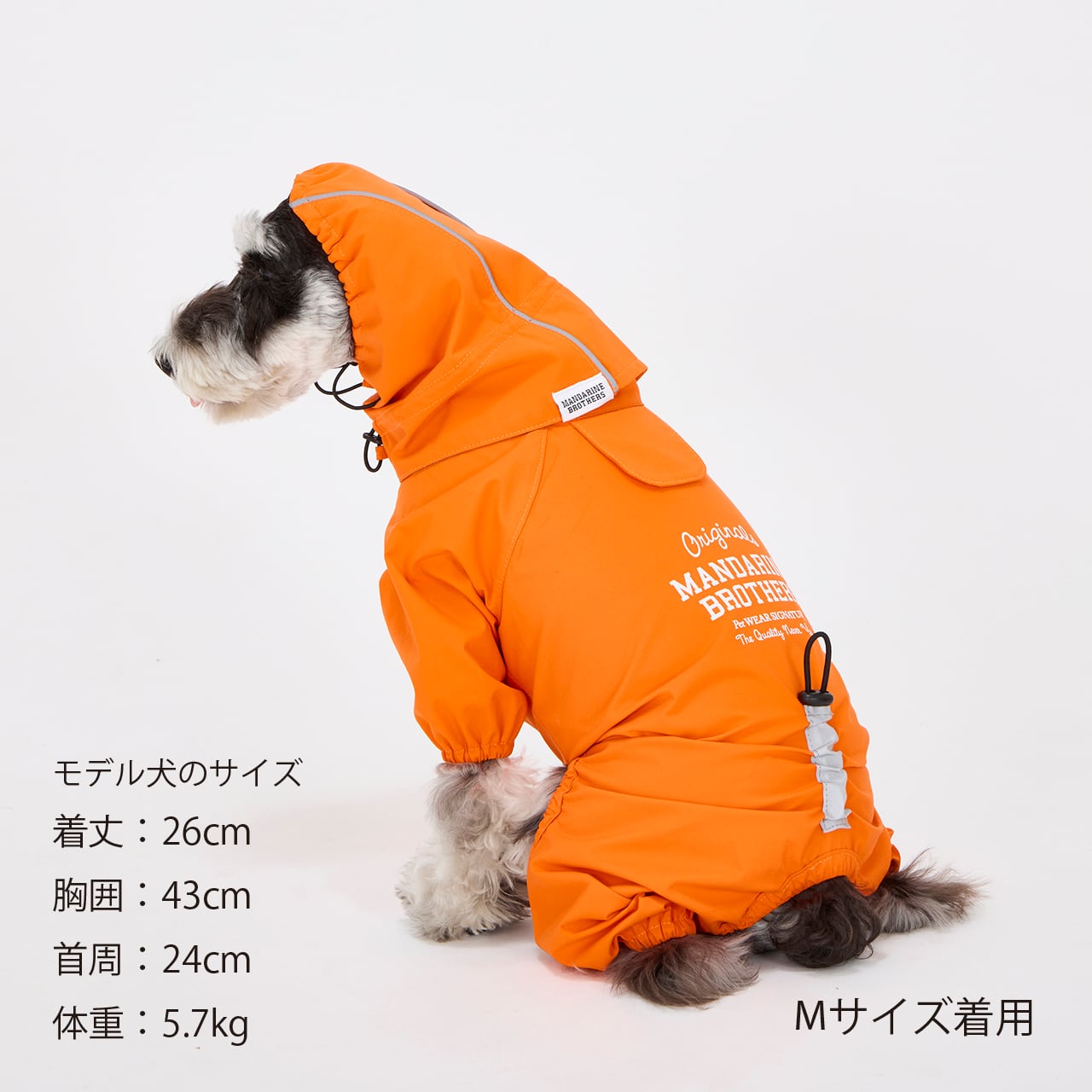RAIN SUIT（S） レインスーツ | MANDARINE BROTHERS マンダリン