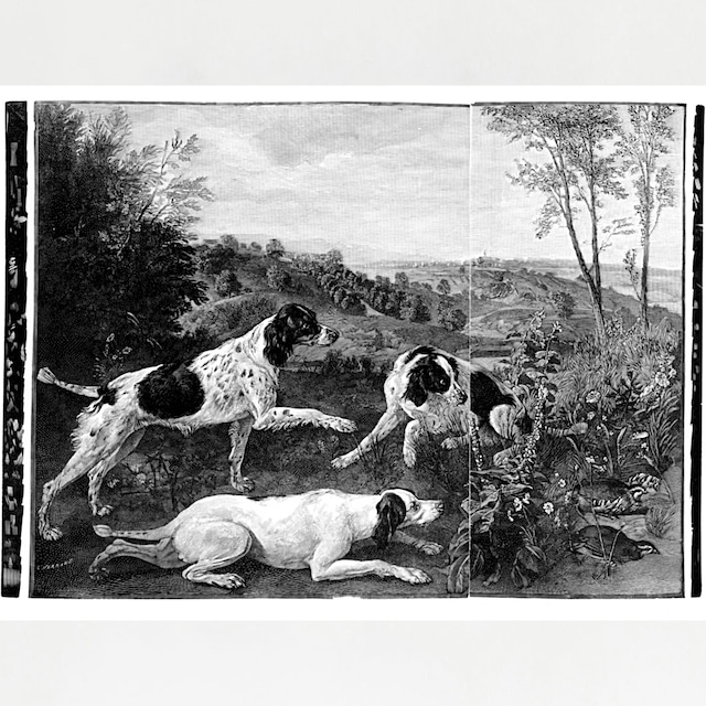 [001] Bonne, Nonne et Ponne, chiennes de la meute de Louis XIV, chassant 1845年頃フランスの印刷所に保管されていた 木口木版画（西洋木版）四つ切