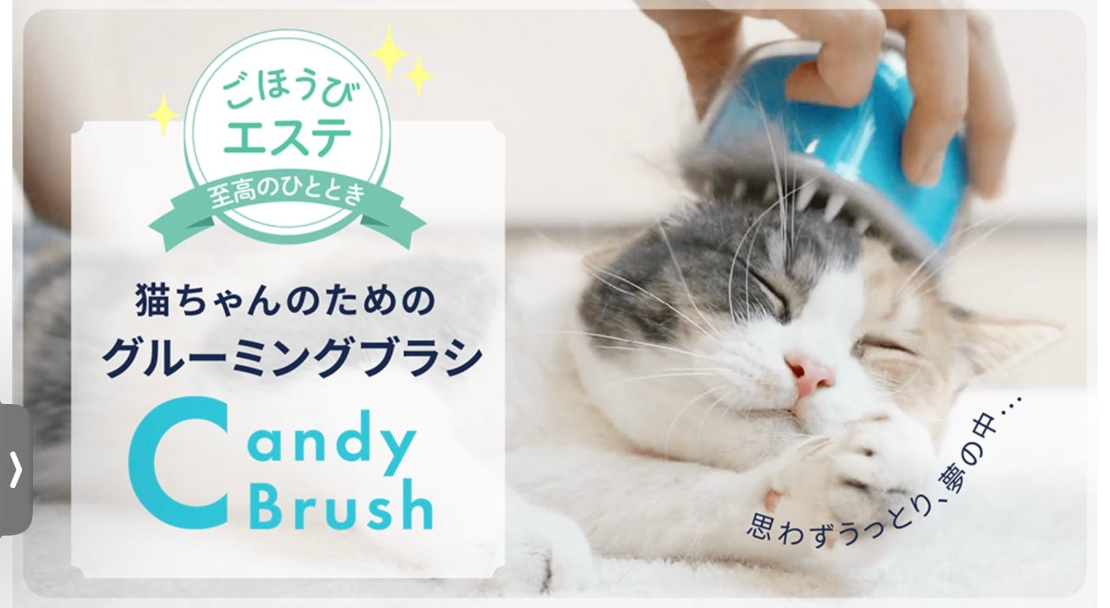 ☆ ねこさんとりんご ☆ 【破格値下げ】 - その他