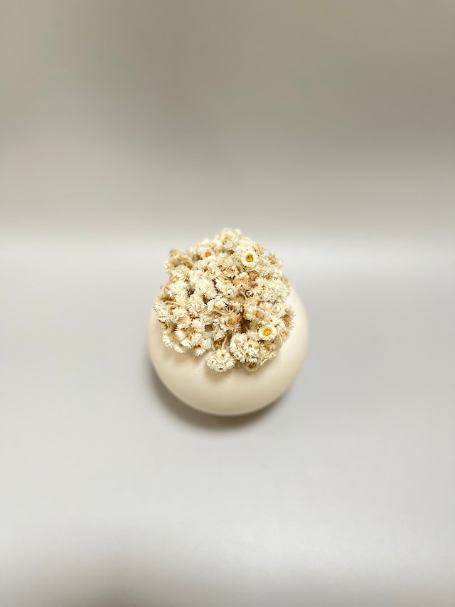 Pearly everlasting object 山母子のインテリアオブジェ