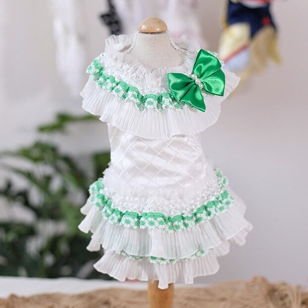 大型犬もOK さわやかなグリーンがアクセントのワンピース