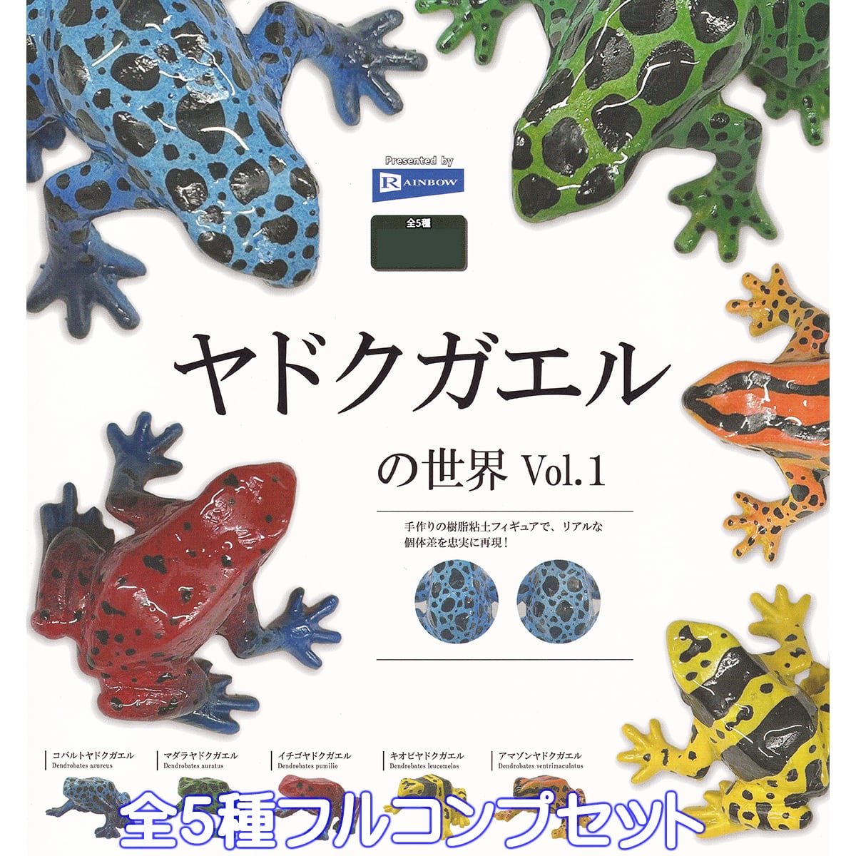 蛙【まとめ買い以外値引き不可】 楽天市場】オブジェ REPTILES MAG ヤドクガエル アマガエル