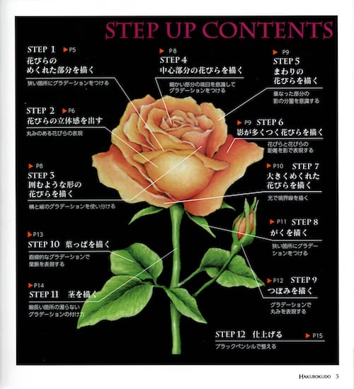 手書き作品 「幸せの薔薇」(B4) ad6ec370d22c50417e133a4121b3c5