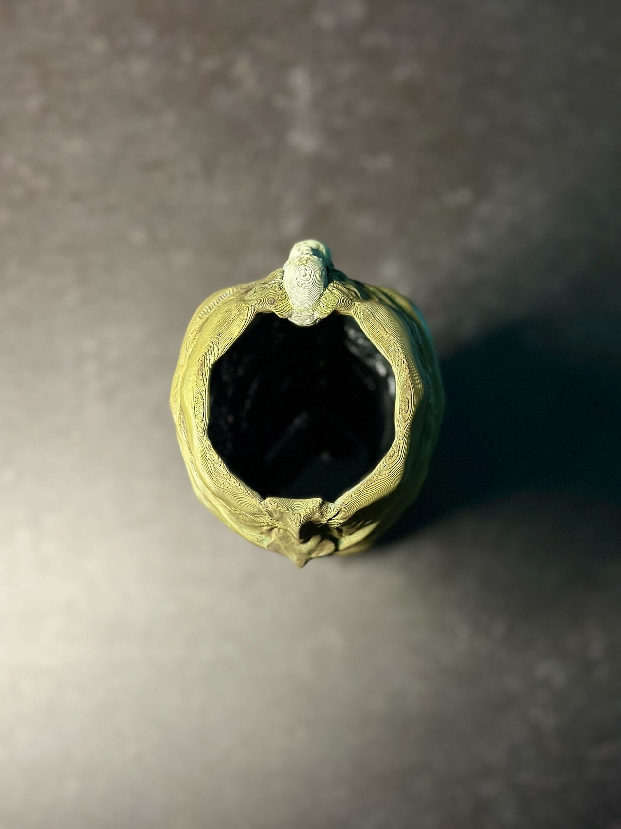 The DarkVessel  花瓶 / FlowerVase