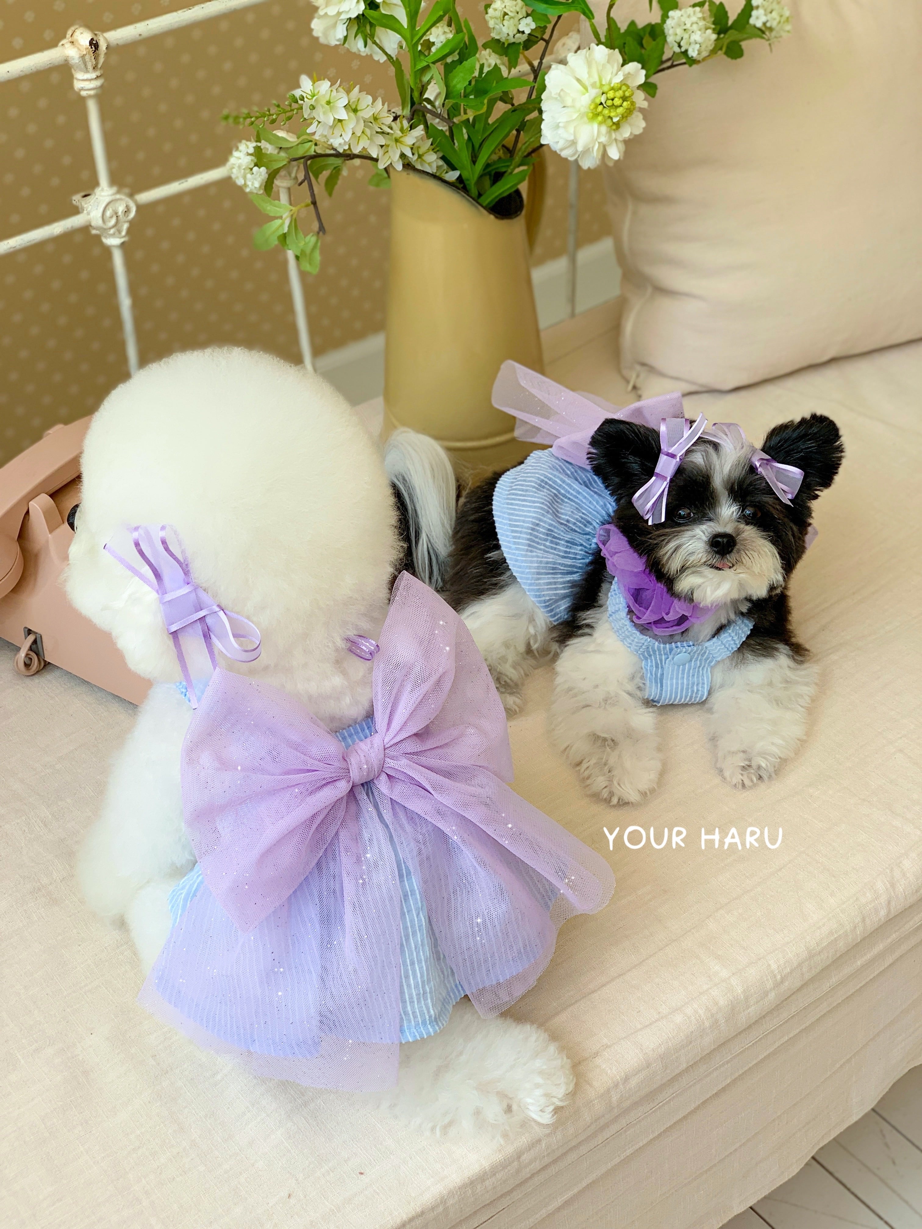 予約【yourharu】Cupid Ops (Blue)