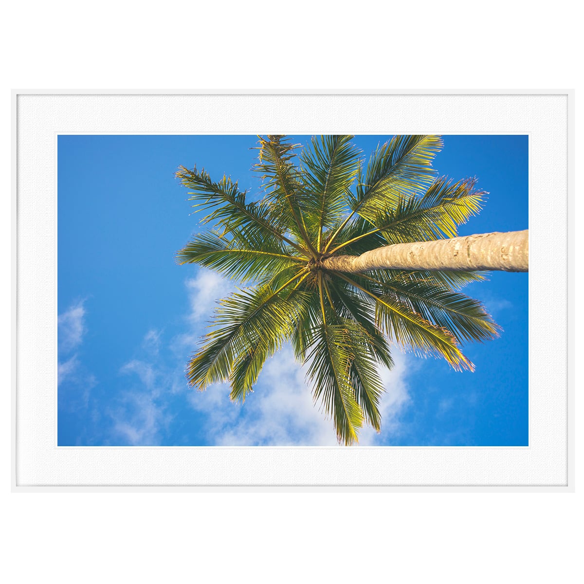 夏写真 ヤシの木 インテリアアートポスター額装 AS0336