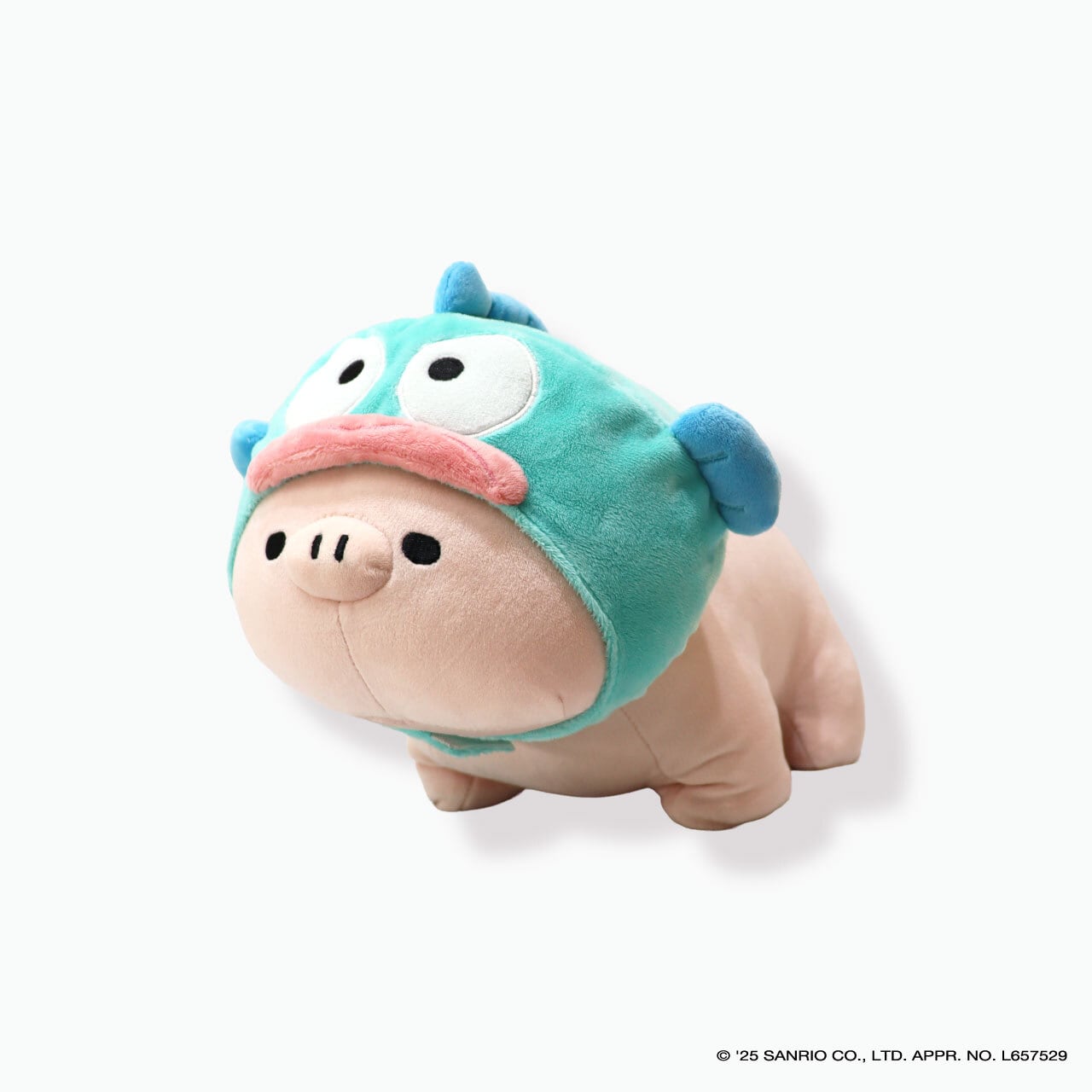 マイクロブタ | ACCENT STORE