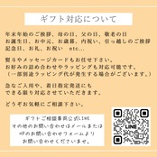 【炭酸入り】銀座クラフトコーラ(観音山レモン)200ml 1本