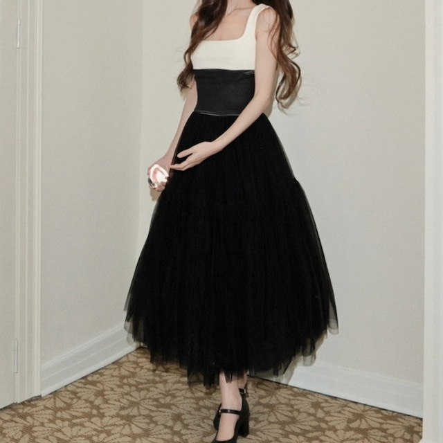 Mesh skirt dress　251201