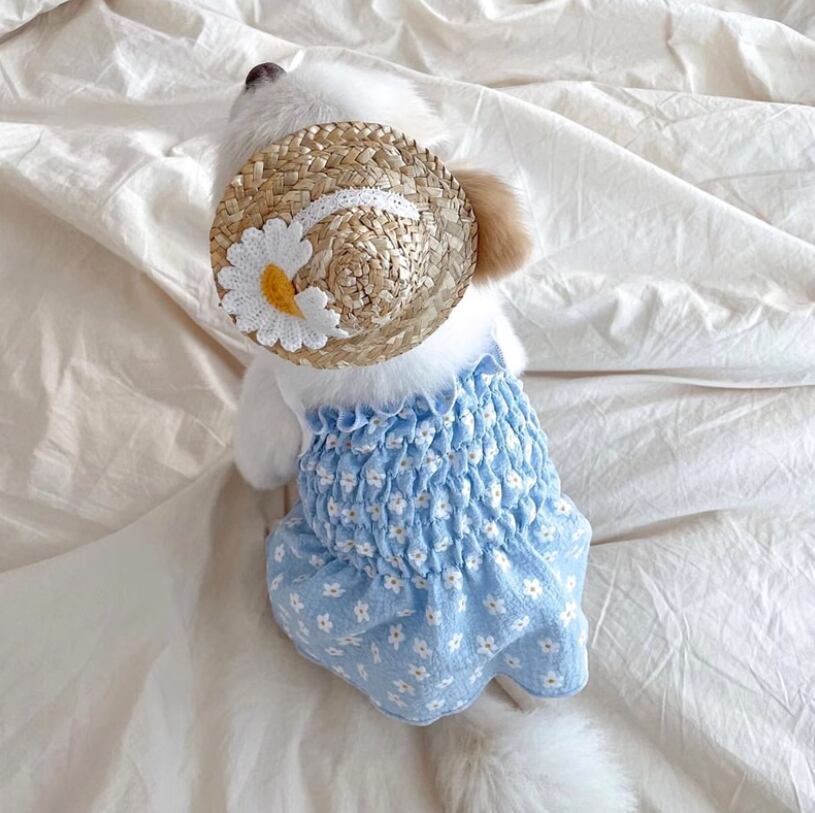 ドッグ 犬 ドッグウェア 室内着 ドレス ワンピース お花 伸縮性 かわいい きれいめ シンプル カジュアル 上品 おしゃれ レトロ 主役級 存在感 ラブリー キュート プリンセス 都会的 ベーシック シンプル 花柄 春 夏 女の子 スクール デート お出かけ 旅行 海 プール 公園 休日 バカンス ガーデン レストラン ショッピング 記念日 お花見 カフェ 朝 散歩 ウォーキング 室内 プチプラ 普段使い 清楚 トレンド 流行 インスタ映え 定番 S M L XL 紫 ブルー