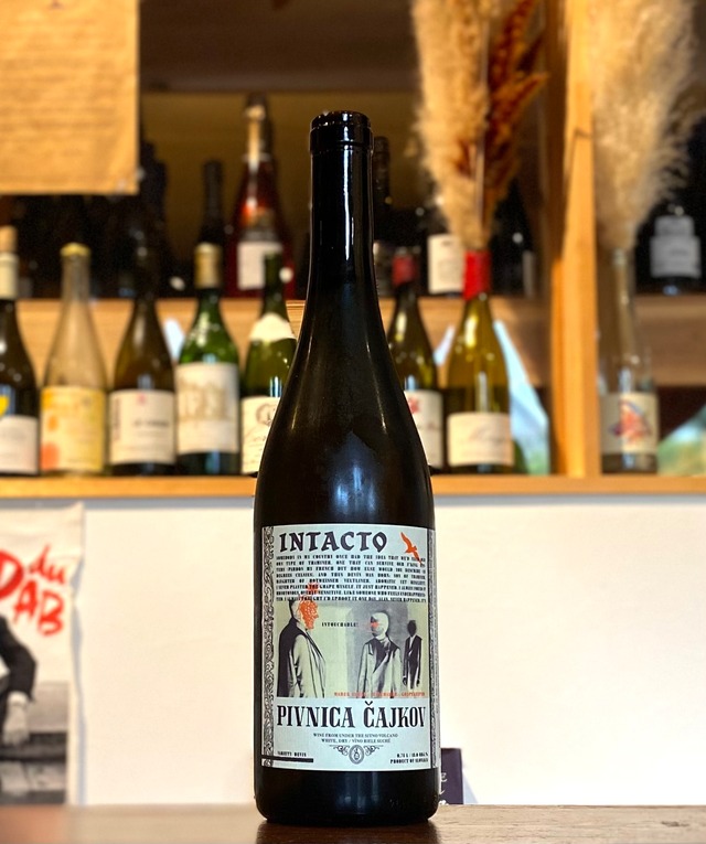 インタクト【ＮＶ】/ピヴニツァ・チャイコフ　